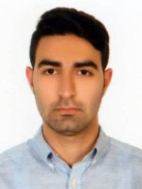 بهروز صورتی زنجانی